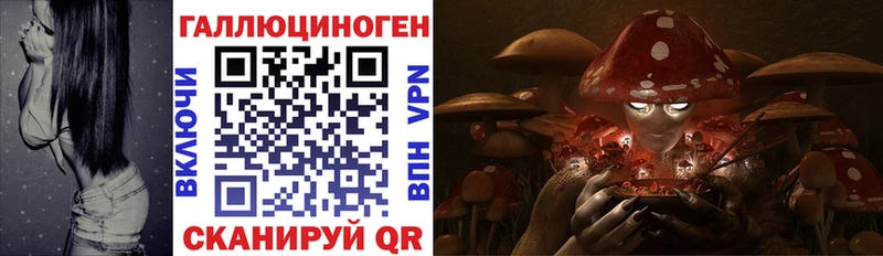 Псилоцибиновые грибы мухоморы  Невинномысск 